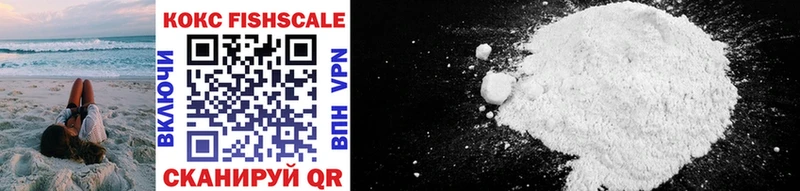 Cocaine FishScale  купить наркотик  Нижнеудинск 