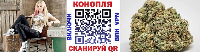 как найти закладки  Нижнеудинск  Марихуана THC 21% 